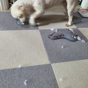베스트 후기 이미지