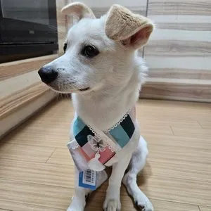 베스트 후기 이미지