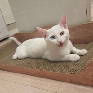 베스트 후기 이미지
