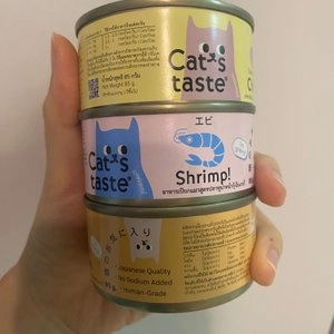 [브랜드전]캣츠테이스트 새우 그레이비 캔 85g 베스트 후기 이미지