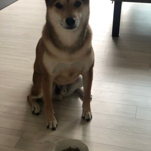 베스트 후기 이미지