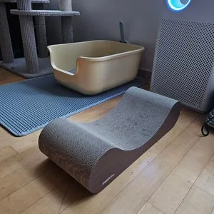 베스트 후기 이미지