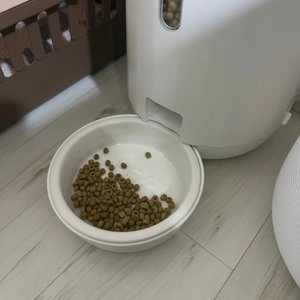 [무료배송] 페키움 똑똑 풀패키지 베스트 후기 이미지