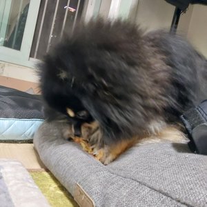 베스트 후기 이미지