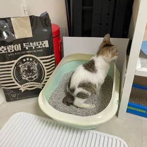 베스트 후기 이미지