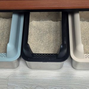 베스트 후기 이미지