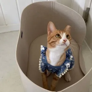 베스트 후기 이미지