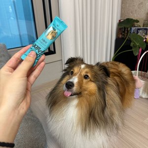 베스트 후기 이미지