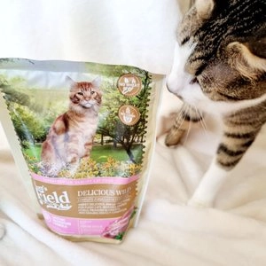 샘스필드 캣  딜리시어스 와일드 2.5kg 베스트 후기 이미지