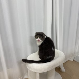 베스트 후기 이미지