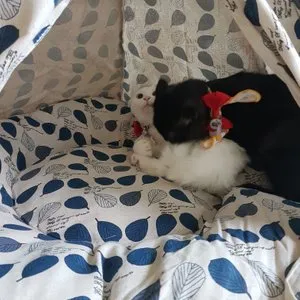 베스트 후기 이미지