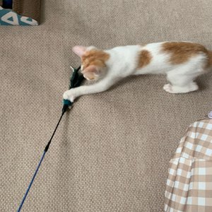 베스트 후기 이미지