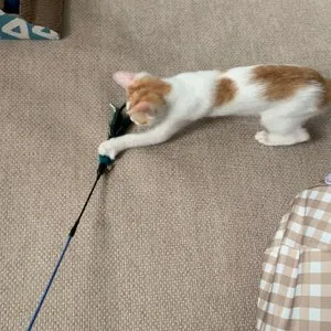 베스트 후기 이미지