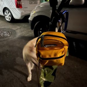 베스트 후기 이미지