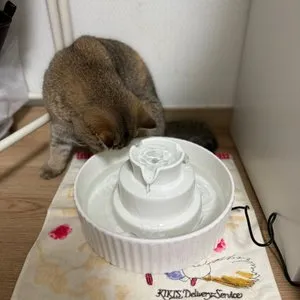 베스트 후기 이미지