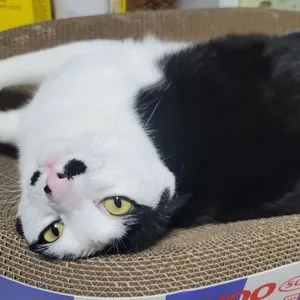 베스트 후기 이미지