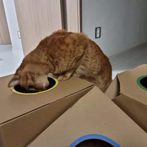 베스트 후기 이미지