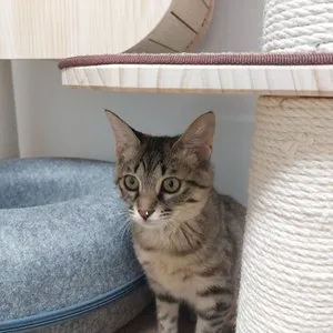 베스트 후기 이미지