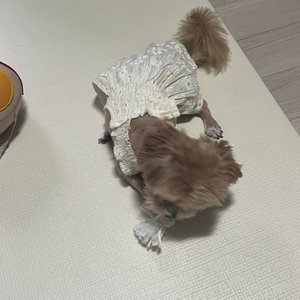 베스트 후기 이미지