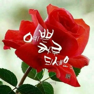베스트 후기 이미지