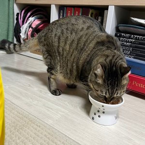 베스트 후기 이미지