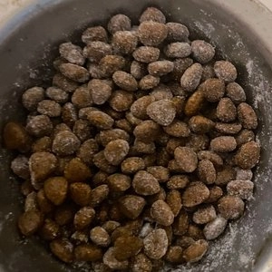 [무료배송] 바이오펫츠 멍산균 30포 베스트 후기 이미지