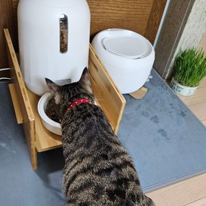 베스트 후기 이미지