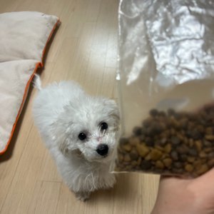 베스트 후기 이미지