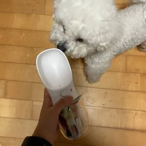 베스트 후기 이미지