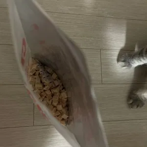 베스트 후기 이미지