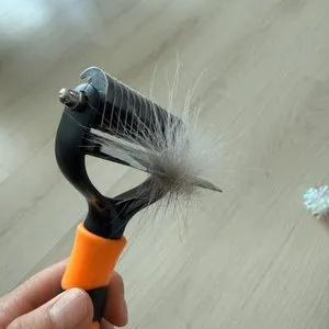 베스트 후기 이미지