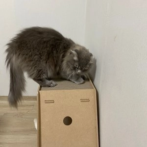 REGO 스크래쳐 하우스형 베스트 후기 이미지