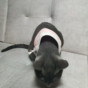 베스트 후기 이미지