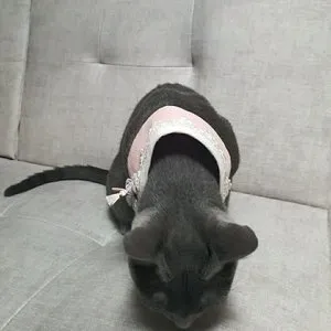 베스트 후기 이미지