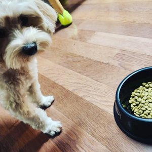 베스트 후기 이미지