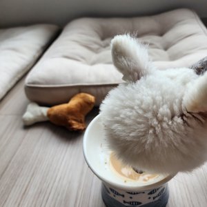 베스트 후기 이미지