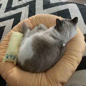 베스트 후기 이미지