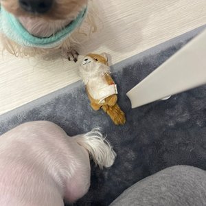 베스트 후기 이미지