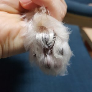 베스트 후기 이미지