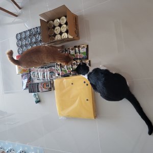 베스트 후기 이미지