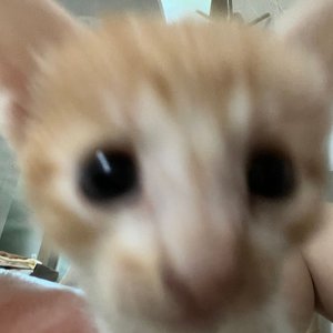 베스트 후기 이미지