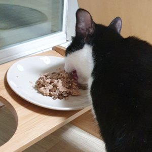 베스트 후기 이미지