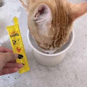 베스트 후기 이미지