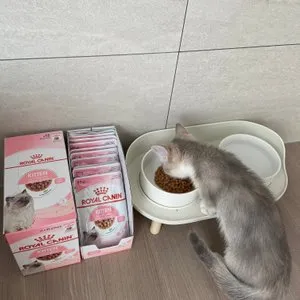 베스트 후기 이미지