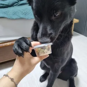 베스트 후기 이미지