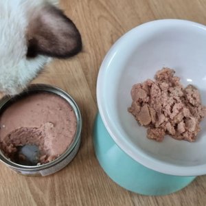 베스트 후기 이미지