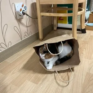 베스트 후기 이미지