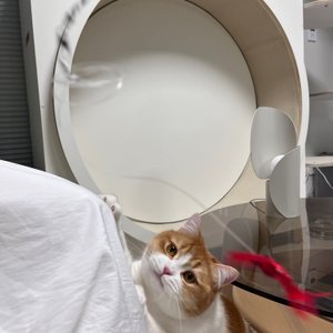 베스트 후기 이미지