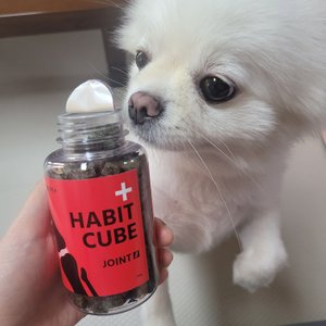 베스트 후기 이미지