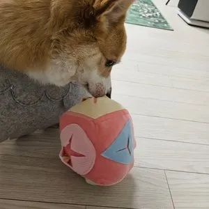 베스트 후기 이미지